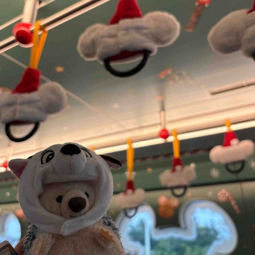 はじめまして、おにゅーのはりねずみです。
おでかけにきました！
クリスマスをかんじられて、すてき✨