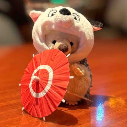あけましておめでとうございます
今年もよろしくお願いします🦔