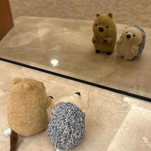 はろー👋