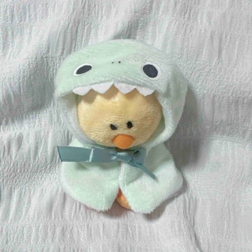 きょうのおようふくだっピ🦖