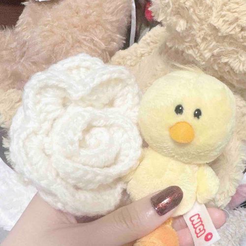 ぴよくらいおおきなおはな🌸
かいぬしはいつかぴよのおようふくつくってくれるかな🐣