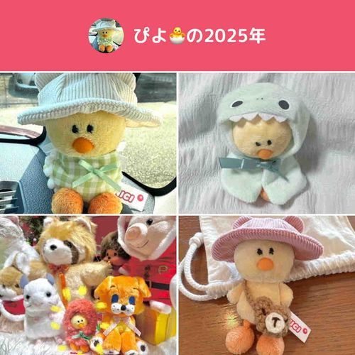 はじめたばかりだけど、たくさんのおともだちとすごせてしあわせだっピ💕
みんなありがとだっピ🌟