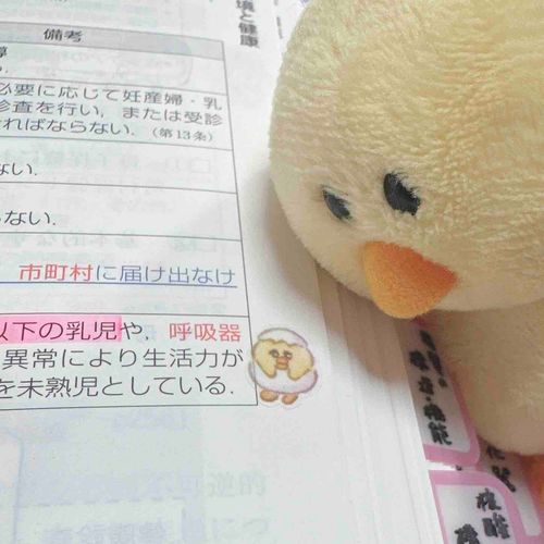 きょうは かいぬしの べんきょうの おもとだっピ✊🏻‪❤️‍🔥
なんか ぼくに にている…？？🐣‪