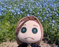 なわぬい