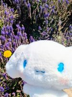 しなもん