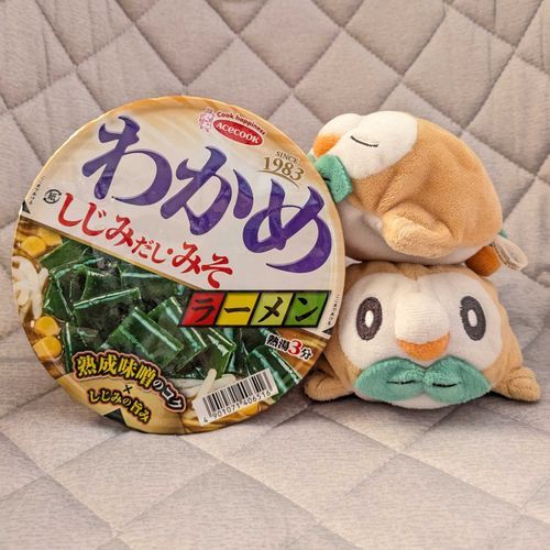 君は僕に似ている