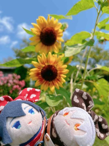 9月！