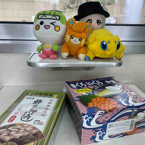 鉄道博物館 ひろい たのしい 駅弁を電車で食べられる とくべつ たいけん わくわく