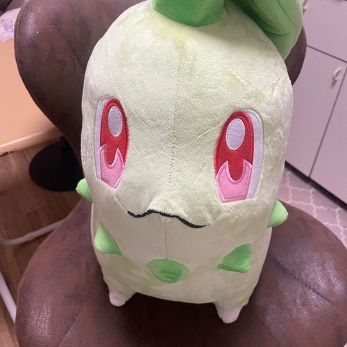 お引越し 完了 チコ