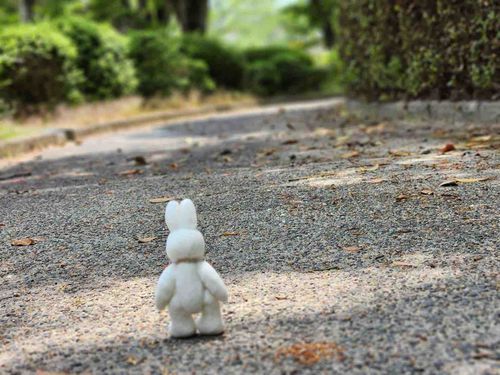 きょうはあつかったから、できるだけひかげをあるいたよ