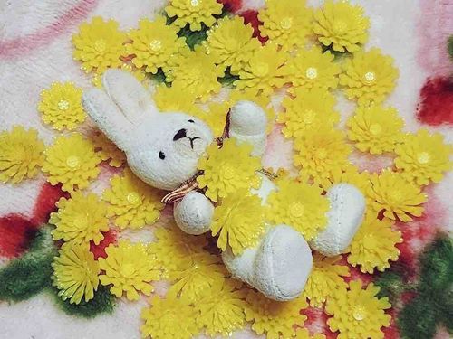わたしのコレクションみてー！
