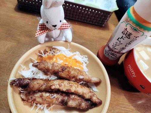 うちの人間、さいきんおやさいにこのオレンジいろのどろどろかけてたべてるの。おいしいんだって！