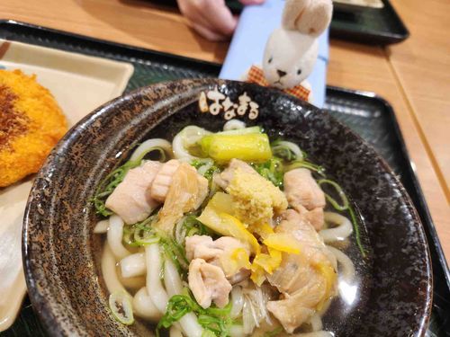 これはね！人間がはなみずたらしながらたべてたおうどん！