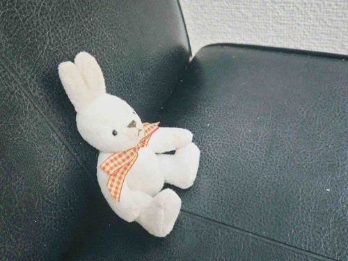人間のつきそいでびょういんにいってきたよ！わたしがいないとちゅうしゃがこわいっていうんだからこまっちゃう！