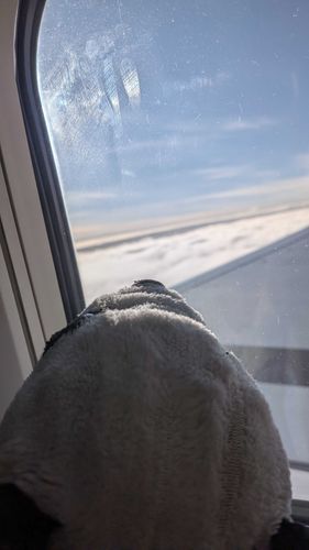初めて乗った飛行機
怖かった…
