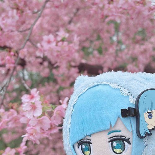 河津桜を母とおばあちゃんと
一緒に見てきました🌸♡
お名前を運転中聞いたのに
いざ現地に着いたら脳内が
梅だ、と勘違いをし…
桜さんに申し訳なかったです😞

もう少しで終わってしまうと思うのであともう一度くらいは
見に行けたらいいなと思いました🌸