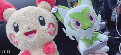 この前千葉に行ってきました👀
地元の中古屋さんには
ないものがたくさん
置いてありワクワクしました(っ ॑꒳ ॑c)

明日から少しずつ浮上します₍ .  ̫. ₎