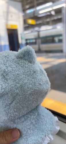 この前
優雅に特急乗りました🚃♡
人混みや匂いに
悩まされることもなく
すごく快適すぎました( ͒ ඉ .̫ ඉ ͒)