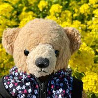 39ちゃん