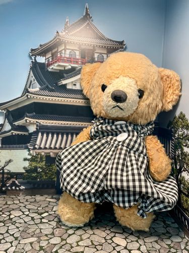 お城に遊びに来た気分だよ🧸