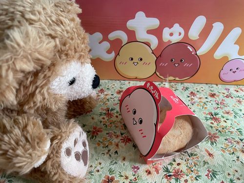 大人気のもっちゅりんを食い入るように見つめるダフ〜🧸💕