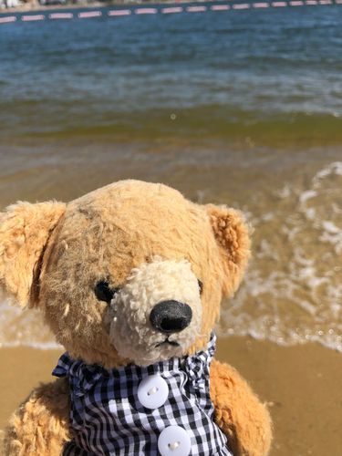 海くま🏖️夏ももうすぐ終わりくまね🥲
