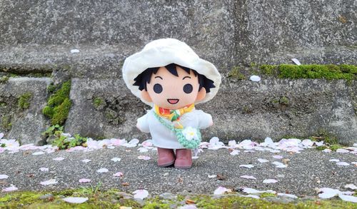 お散歩がてら春を感じてきた🌸