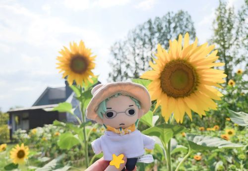 夏ッッッ