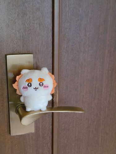 新入りで〜す