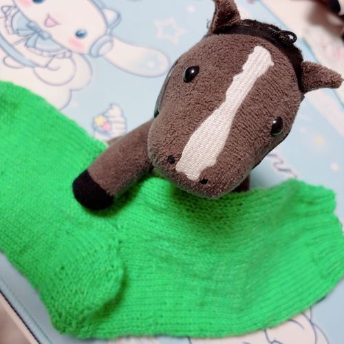 このみどりのは〜　おかあしゃんがあんだ　くつした！
たーふのいろっていってた！

きょうはおかあしゃんと　あみふぇすに　いってきたよ！
おかあしゃんは　おひるごはんをがまんして　けいとを　かっていたよ！

くすお、ちょっと　わらっちゃった！
でも　おかあしゃんが　たのしそうで　よかった！
