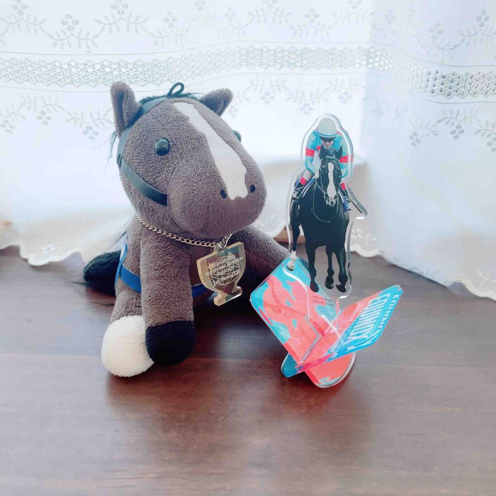 ありまきねん！
おかあさんが「コスモキュランダー！！ありがとー！！！！」って　いっていたよ

たすてぃえーらの　おうえんばけんも　かっていたみたい　
ぜんじんばぶじでよかったって　いっていたよ

ぼくのあくすたも　かざって　もらったー！