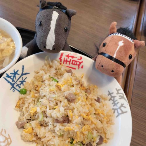 おどうと　まちちゅうかに　いったよ！
ちゃーはん　おいしかった〜！

おかあさんが　せーたーを　あみおわったりも　した！