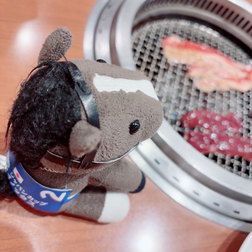 はじめて　やきにくっていうのに　いってきた！
このあみで　おにくとかやさいをやいて　みんなで　たべるんだって！

おかあさんは　れいめんっていうのも　たべていた！

あみのそばは　あつかったよ〜！
