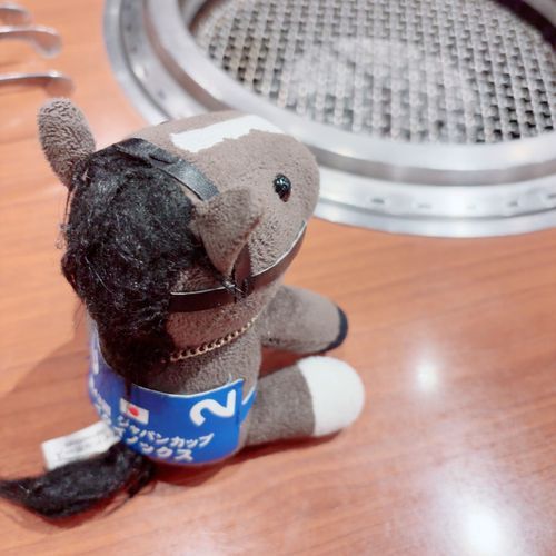 はじめて　やきにくっていうのに　いってきた！
このあみで　おにくとかやさいをやいて　みんなで　たべるんだって！

おかあさんは　れいめんっていうのも　たべていた！

あみのそばは　あつかったよ〜！
