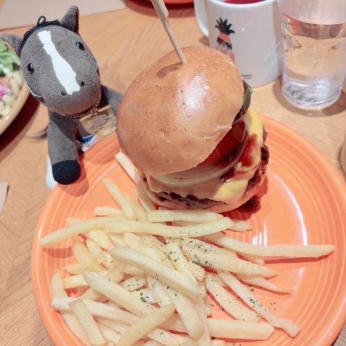 さいごのよるは　おおきいはんばーがーをたべたよ！
おかあさんのおくち　おおきかった！

そして　ひこうきと　しんかんせんにのって　かえってきたよ〜！

はじめてのりょこう　たのしかった〜！