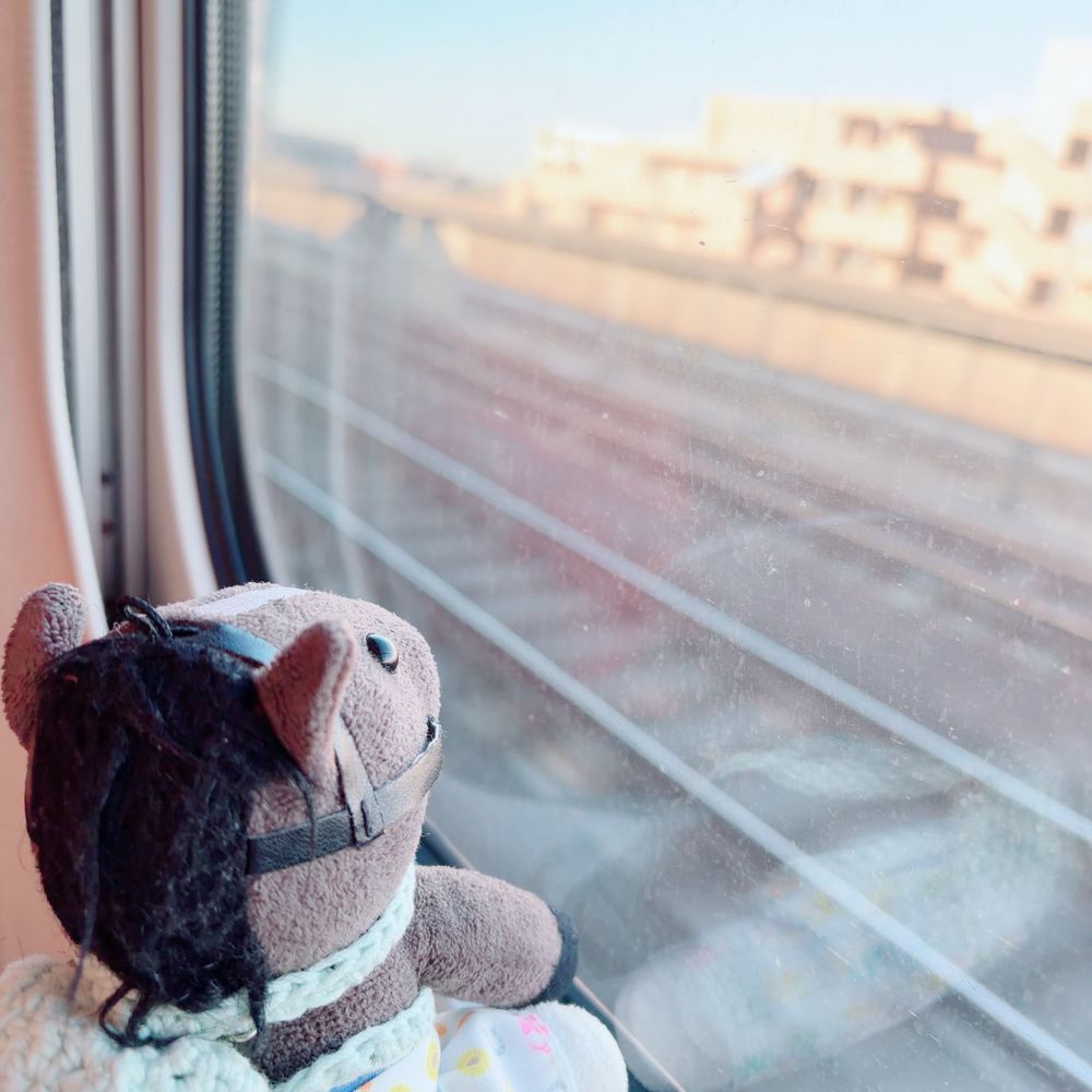 さいごのよるは　おおきいはんばーがーをたべたよ！
おかあさんのおくち　おおきかった！

そして　ひこうきと　しんかんせんにのって　かえってきたよ〜！

はじめてのりょこう　たのしかった〜！