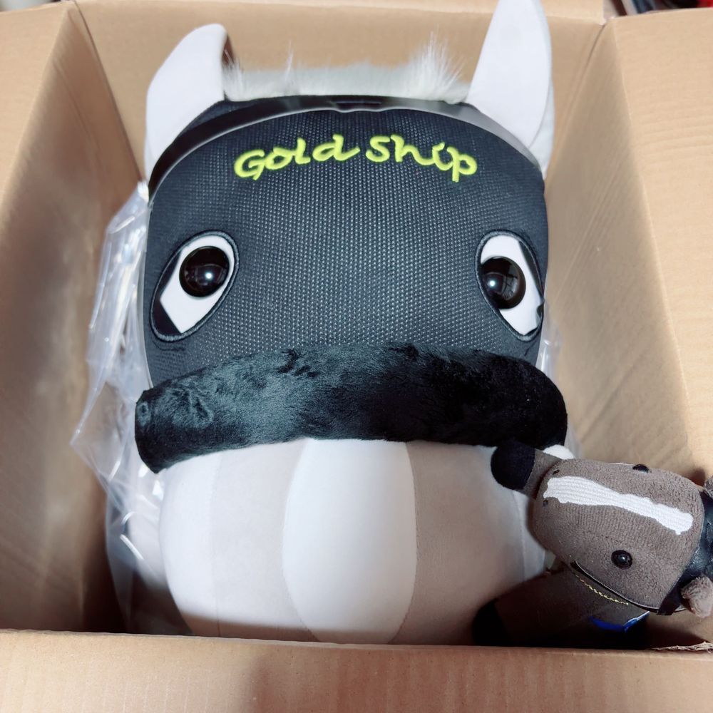 おうちに　でかもっちごーるどしっぷが　なかまいり！！
おっきくて　ふわふわの　もっちもち！

なかよくしようね〜！