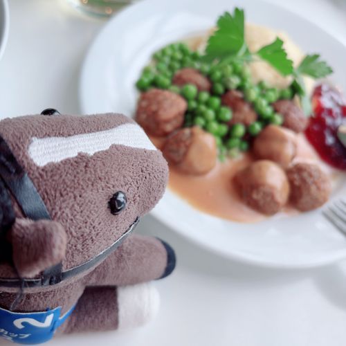 いけあっていうところに　いってきた！
おかあさんは　けいとをいれるかごを　げっと！

おひるごはんに　みーとぼーるも　たべていたよ〜！