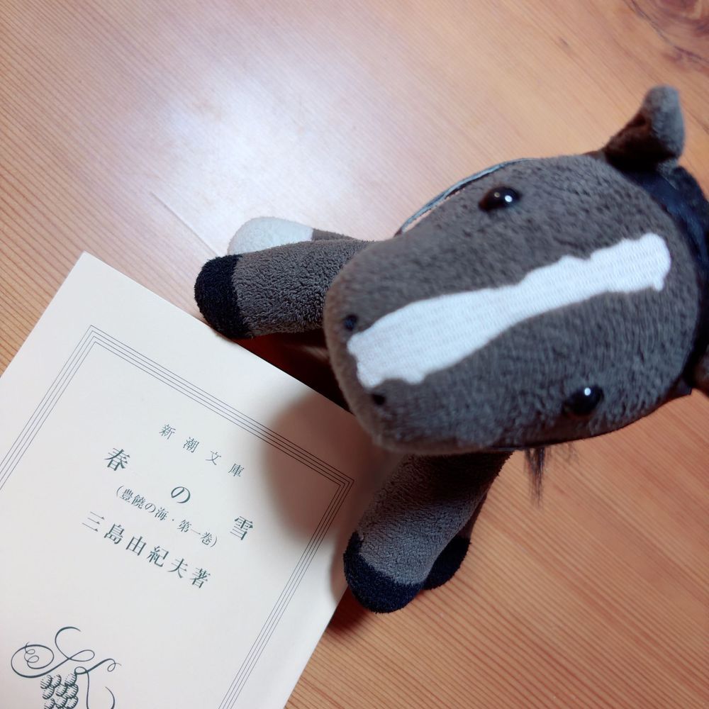 まいにち　あついね〜

あついから　おうちのなかで　すごすことが　おおいよ！
おでかけしたいけど……ねっちゅうしょうがこわいからなぁ〜

おかあさんは　ほんをよんだり　あみものをしたりして　すごしているし
ぼくも　おかあさんのそばで　みているのが　すきなんだ！