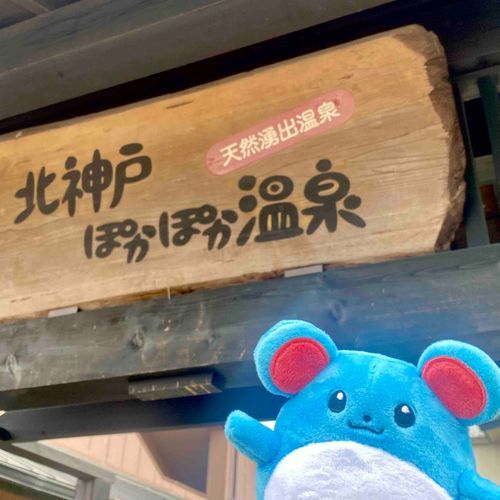 3れんきゅうのいちにちめはぽかぽかおんせんにいったりる　サウナはさいこーらしいりる