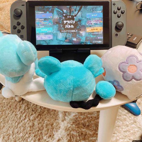 ごじゅじん、おやすみのひにだんなさんとスプラトゥーンのフェスをしてたりる
みんなでかんせんしたりる