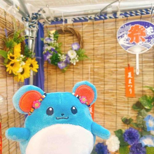 このまえのおまつりのしゃしん　こんなかわいいくうかんがあったりる