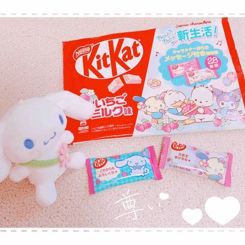 いただきもののキットカット！可愛くてなかなか食べられなかったけどやっと開封…推しのシナモンとウサハナちゃん入ってて幸✨