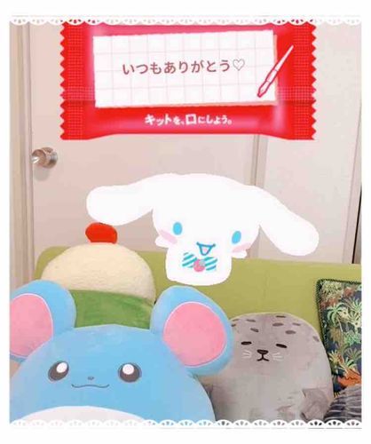 キットカットからシナモンを召喚できました！せっかくなのででかマリルちゃんともちょぽん(あざらし)と共に。。📷