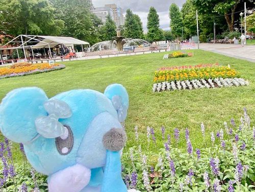 旦那さんと2泊3日の旅行に行ってきました！行き先が北海道ということもあって、今回のお供はクマシュン🤍🩵連投失礼します🥹
