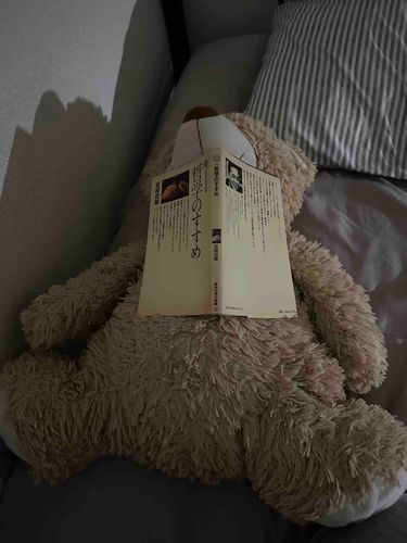 寝落ち読書