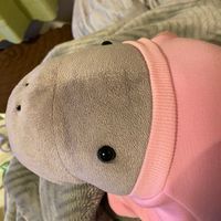 じゅんちゃん