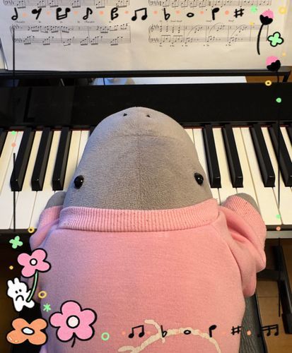 ピアノ弾けるかな🎹