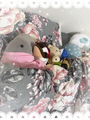 みんなで仲良くおやすみだよ☺️