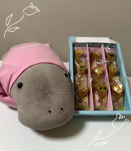 かわいいお菓子もらったよ😋